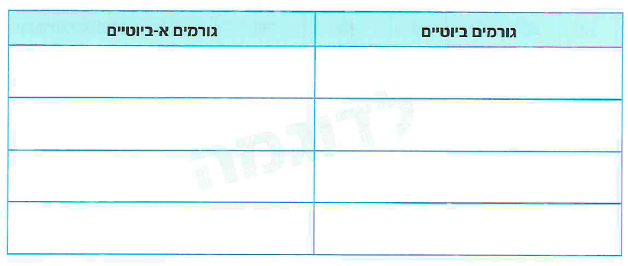 (בספר תמונה 1)